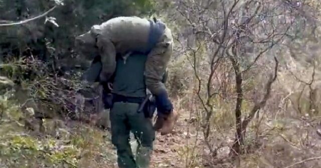 NextImg:Exclusive -- Border Patrol to Nikki Haley: 'We’re Basically Babysitters'