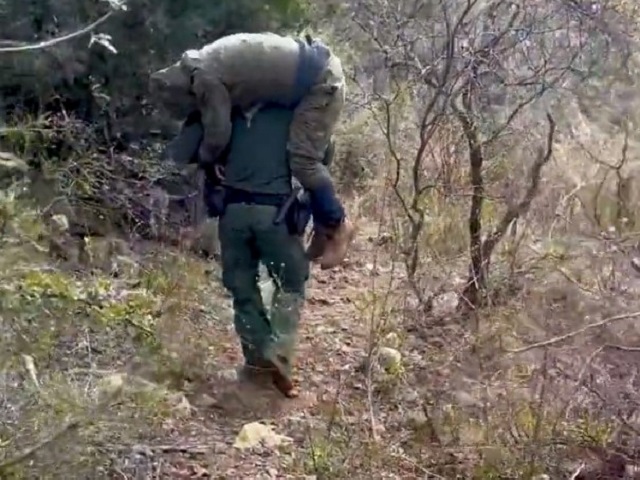 Arizona Border Patrol Agent Carries Injured Migrant Down Mountainside - Vimarsana News