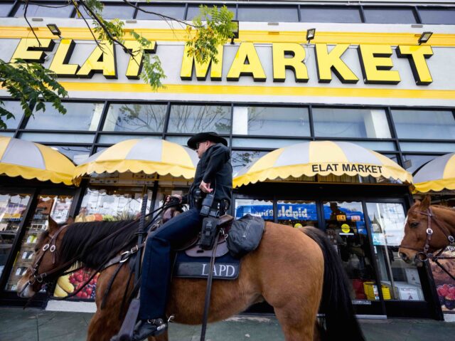 Suspect in Shooting of Jews in L.A. Was Out on Bail for Gun Charges - Vimarsana News