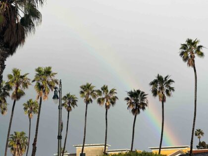 A rainbow appears between palm trees during a winter storm that blanketed the region with