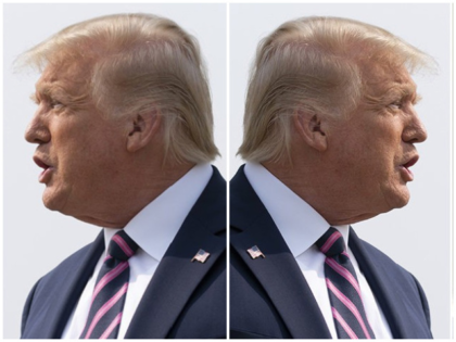 Two Perspectives of Donald Trump Andrew Harnick_AP Images
