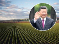 ‘National Security Risk’: Investigation Reveals Biden Admin Failed to Track Foreign Ownership of U.S. Farmland