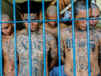 El Salvador Opens 40,000-Bed Prison, More than Doubling Its Inmate Capacity