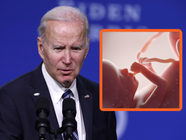 Biden Calls to Codify Roe: 'I Will Veto' National Abortion Ban - Vimarsana News