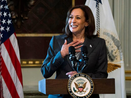 Vice President Kamala Harris speaks during a roundtable with government leaders and privat