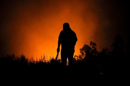 Dozens of forest fires in Chile have claimed 24 lives in a week