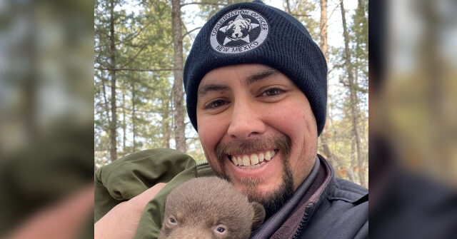 PHOTOS: NM Hiring 'Professional Bear Huggers' for Conservation Work
