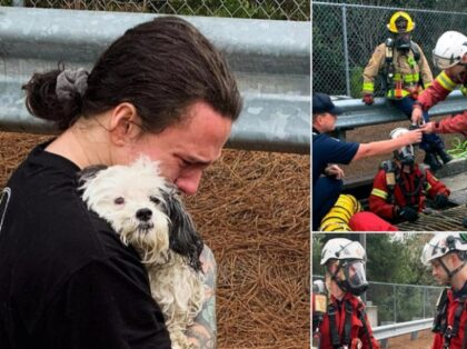 Firefighters rescue trucker's dog