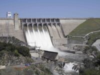 California Grants Only 5% Water Allocation as Drought Fears Rise