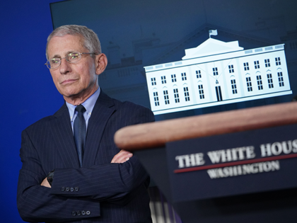 Director of the National Institute of Allergy and Infectious Diseases Anthony Fauci looks
