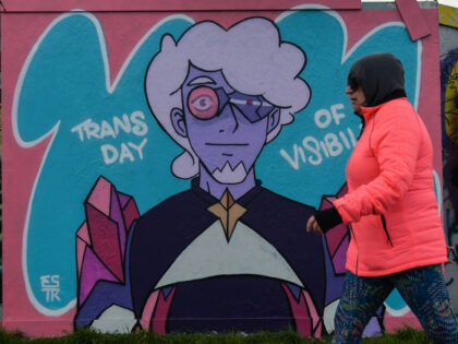 A person walks by the mural of Jewelstar from Netflix's 'She-Ra and the Princesses of Power' in Dublin's Grand Canal area painted by Irish artist Emmalene Blake for International Transgender Day of Visibility. On Tuesday, 6 April 2021, in Dublin, Ireland. (Photo by Artur Widak/NurPhoto via Getty Images)