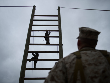 United States Marine Corps (USMC) recruits from Lima Company, the first gender integrated training class in San Diego, climb up an obstacle course during The Crucible, the final part of phase three of recruit training before officially becoming US Marines on April 21, 2021 at Camp Pendleton in San Diego …