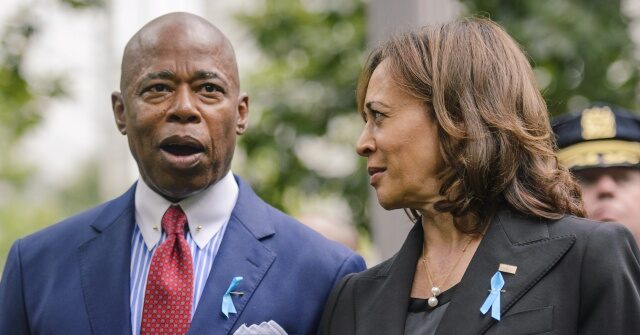 NextImg:Adams: Kamala Harris Has 'Too Much in Her Portfolio' to Deal with Illegal Immigration