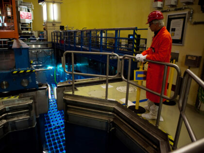 An employee stands over a fuel pool containing spent nuclear fuel rods at the EON AG nucle