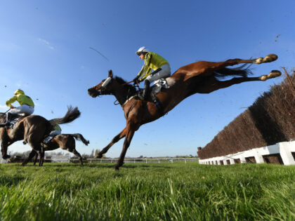 CHELTENHAM, ENGLAND - MARCH 18: Runners and riders jump the third last in the St. James's Place Festival Challenge Cup Open Hunters' Chase on day four of the Cheltenham Festival 2022 at Cheltenham Racecourse on March 18, 2022 in Cheltenham, England. (Photo by Mike Hewitt/Getty Images)