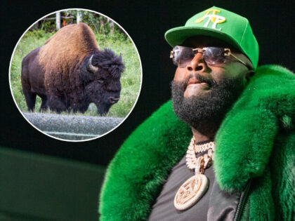 Rapper Rick Ross Tells Neighbors Not to Worry About His Loose Buffaloes: ‘Give It a Carrot. Give It an Apple’