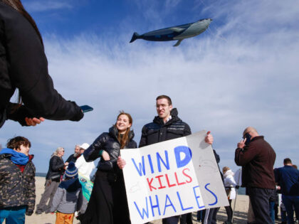 POINT PLEASANT NEW JERSEY - FEBRUARY 19: Environmentalists gather during a 'Save the Whales' rally calling for a halt to offshore wind energy development along the Jersey Shore on February 19, 2023 in Point Pleasant New Jersey. The rally, hosted by the environmental organization Clean Ocean Action, followed the deaths …