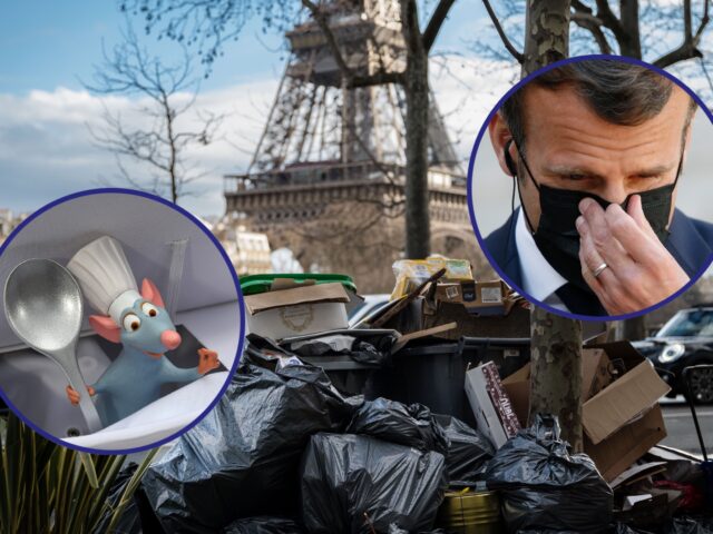 Literal Dumpster Fire: Paris Warned of Rat Invasion as 10k Tonnes of Trash Pile Up Amid Strikes