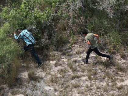 FALFURRIAS, TX - JULY 23: Undocumented immigrants flee into dense brush from U.S. Customs and Border Protection agents some 60 miles north of the U.S.-Mexico border in Brooks County on July 23, 2014 near Falfurrias, Texas. Thousands of immigrants, many of them minors, have crossed illegally into the United States …