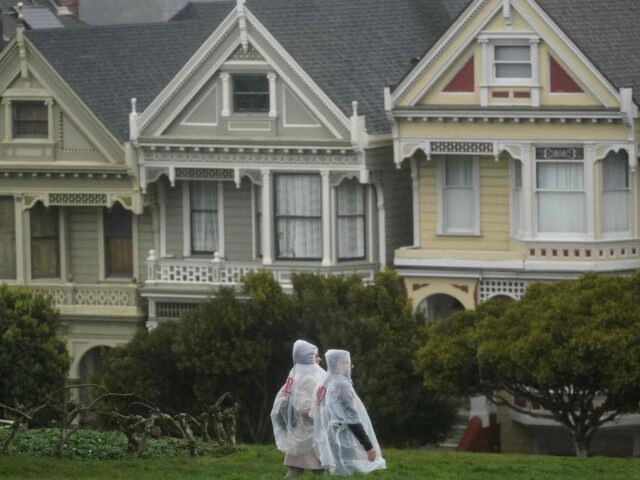 Painted Ladies rain (Jeff Chiu / Associated Press)