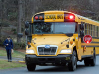 FILE -A Cobb County School bus moves on street Friday, March 13, 2020, in Kennesaw, Ga. Georgia's second-largest school district on Thursday, July 14, 2022 approved a policy allowing some employees who aren't certified police officers carry guns in schools, but excluded teachers from those who can be armed. (AP Photo/Mike Stewart, File)