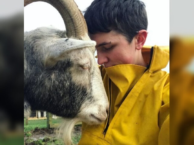 On Instagram, Wellington is described as "goat-they."