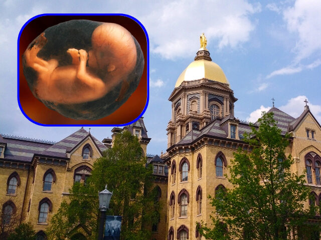 University of Notre Dame (1)