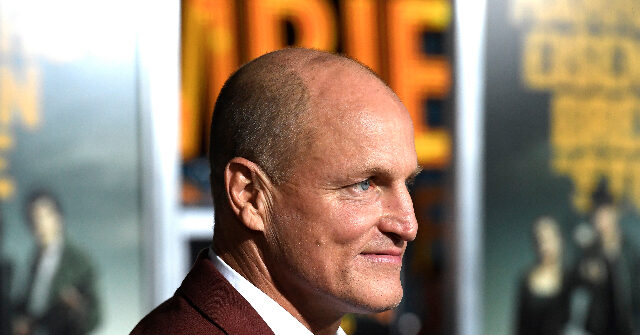 Woody Harrelson criticizes some liberal actions as foolish.