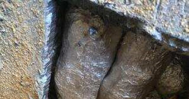 Cops Raid Mexican Cartel Meth Lab... in Nigeria