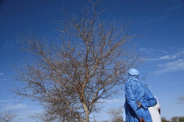 The Great Green Wall initiative aims to restore savanna, grasslands and farmlands across t
