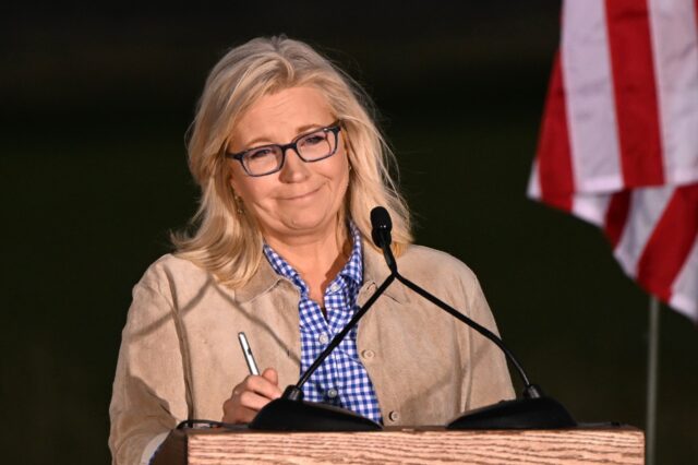 Former US Republican lawmaker Liz Cheney has been appointed as a professor at the Universi