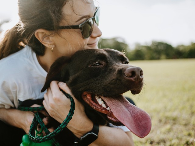 Monster Boss: Tech CEO Celebrates Employee Selling Family Dog After Return to Office Mandate - Vimarsana News
