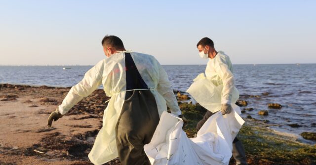 NextImg:Over 200 Migrant Bodies Wash Up on Tunisian Coast in Past Two Weeks