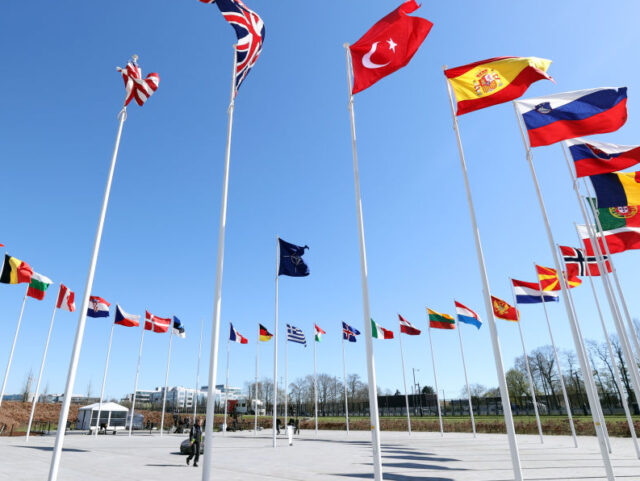 BRUSSELS, BELGIUM - APRIL 03: A view of the flags of The North Atlantic Treaty Organizatio