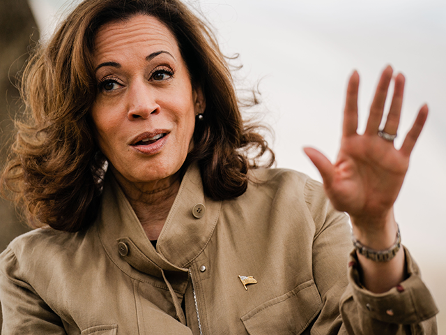 'Kind of a Fancy Thing:' 'AI Czar' Kamala Harris Meets with Civil Rights Leaders on 'Machine Learning Fairness' - Vimarsana News