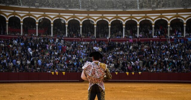 The Sun Also Rises: Young People Drive Bullfighting's Revival in Spain