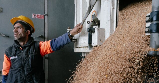 NextImg:EU and Ukraine Strike Grain Deal After Eastern European Farmer Protests