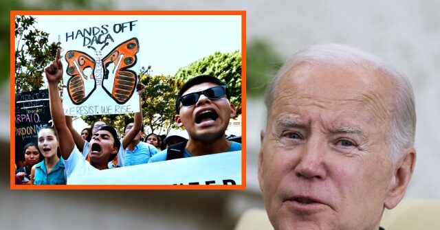 Biden Celebrates 11 Years of DACA Program: Illegal Aliens 'Are Americans'