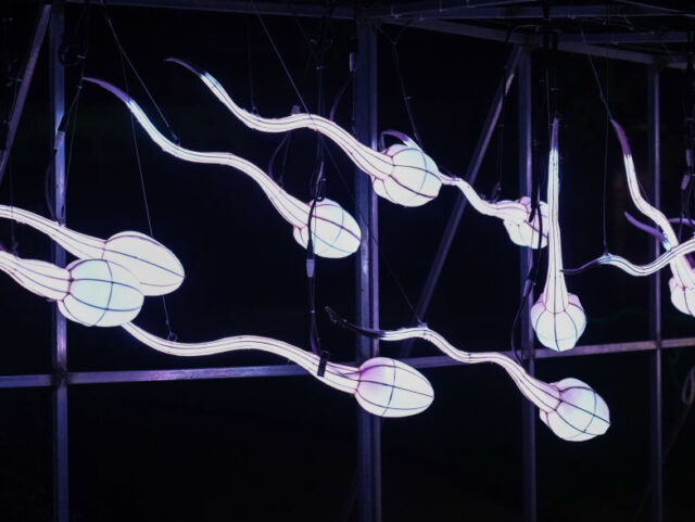 PARIS, FRANCE - NOVEMBER 11: A luminous lantern depicting sperm is displayed during the &q