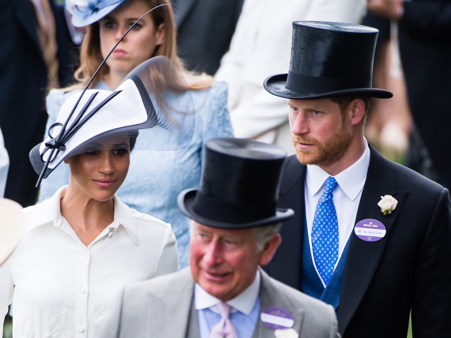 Meghan Markle Will Not Join Prince Harry at King Charles' Coronation - Vimarsana News