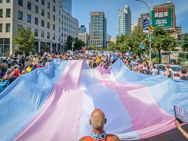 MANHATTAN, NEW YORK, UNITED STATES - 2022/06/26: A giant Trans Flag seen at the march. Tho