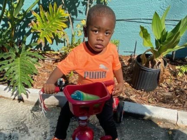 Police: Child Discovered in Florida Alligator's Jaws Drowned by Father - Vimarsana News