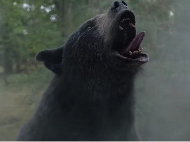 'Cocaine Bear' Review: Great Concept Is Poorly Executed - Vimarsana News