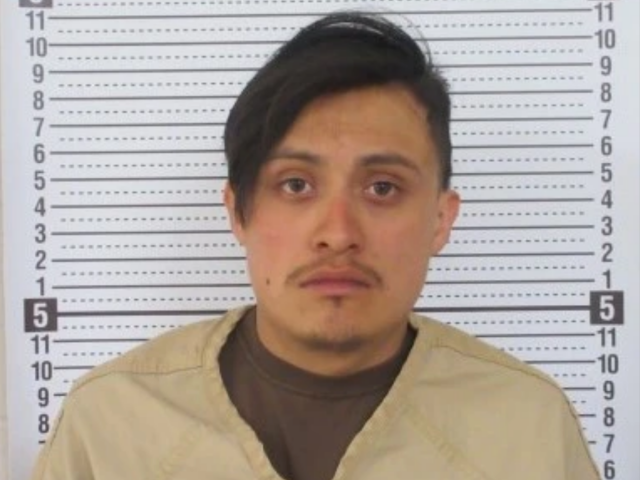 Illegal Alien Faces 15 Years in Prison for Allegedly Killing Six-Year-Old Boy - Vimarsana News