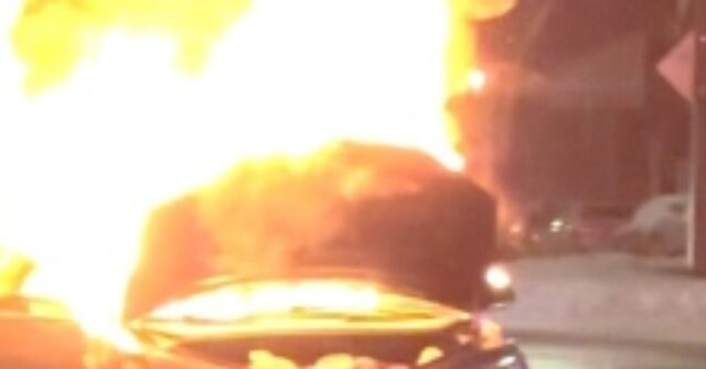 Canadian Couple Escapes Their Tesla Moments Before It Bursts into Flames - Vimarsana News