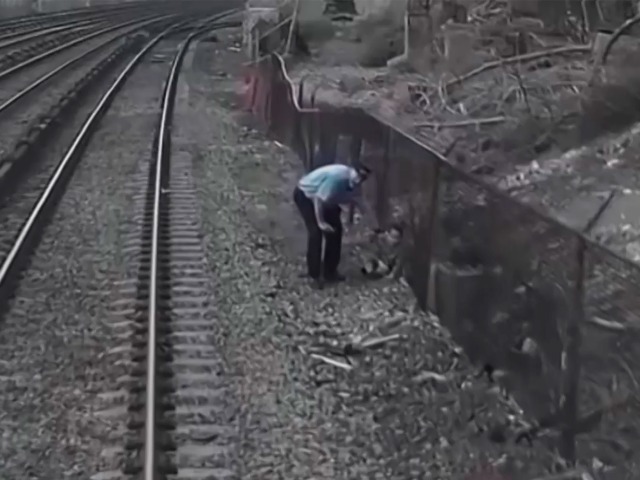 WATCH: NY Boy with Autism Rescued from Tracks by Train Workers - Vimarsana News