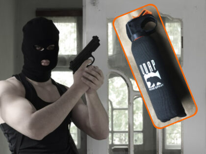 armed home intruder with gun _bear spray