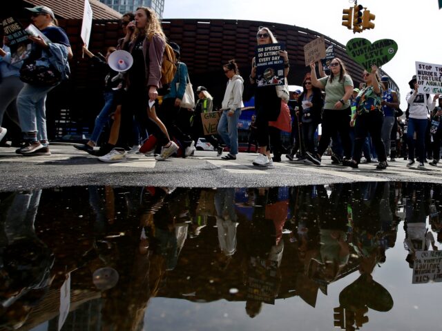 NEW YORK, NEW YORK - APRIL 22: People attend the Vegan Earth Day March marking the Earth D