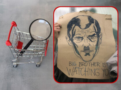 grocery cart with magnifying glass (1)