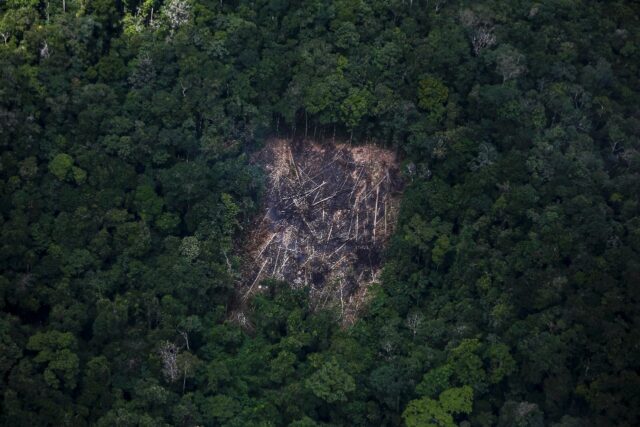 Aerial view of a deforested area of the Amazon rainforest in Brazl's state of Roraima